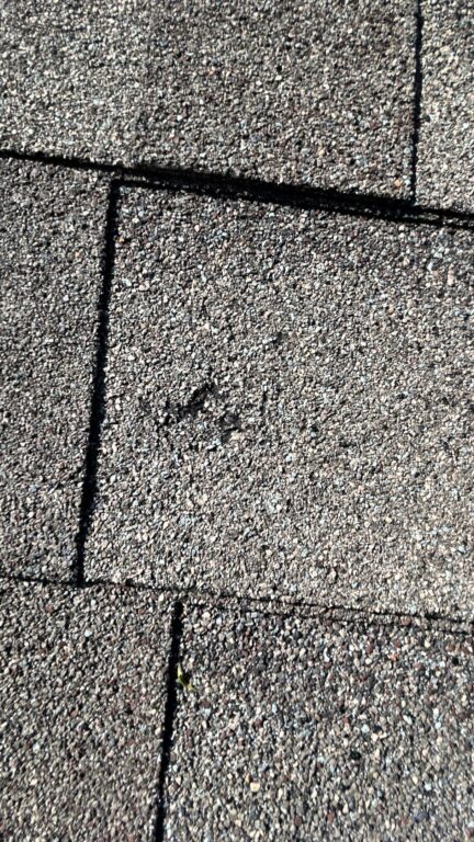 Close-up of a bruised asphalt shingle showing hail impact damage.